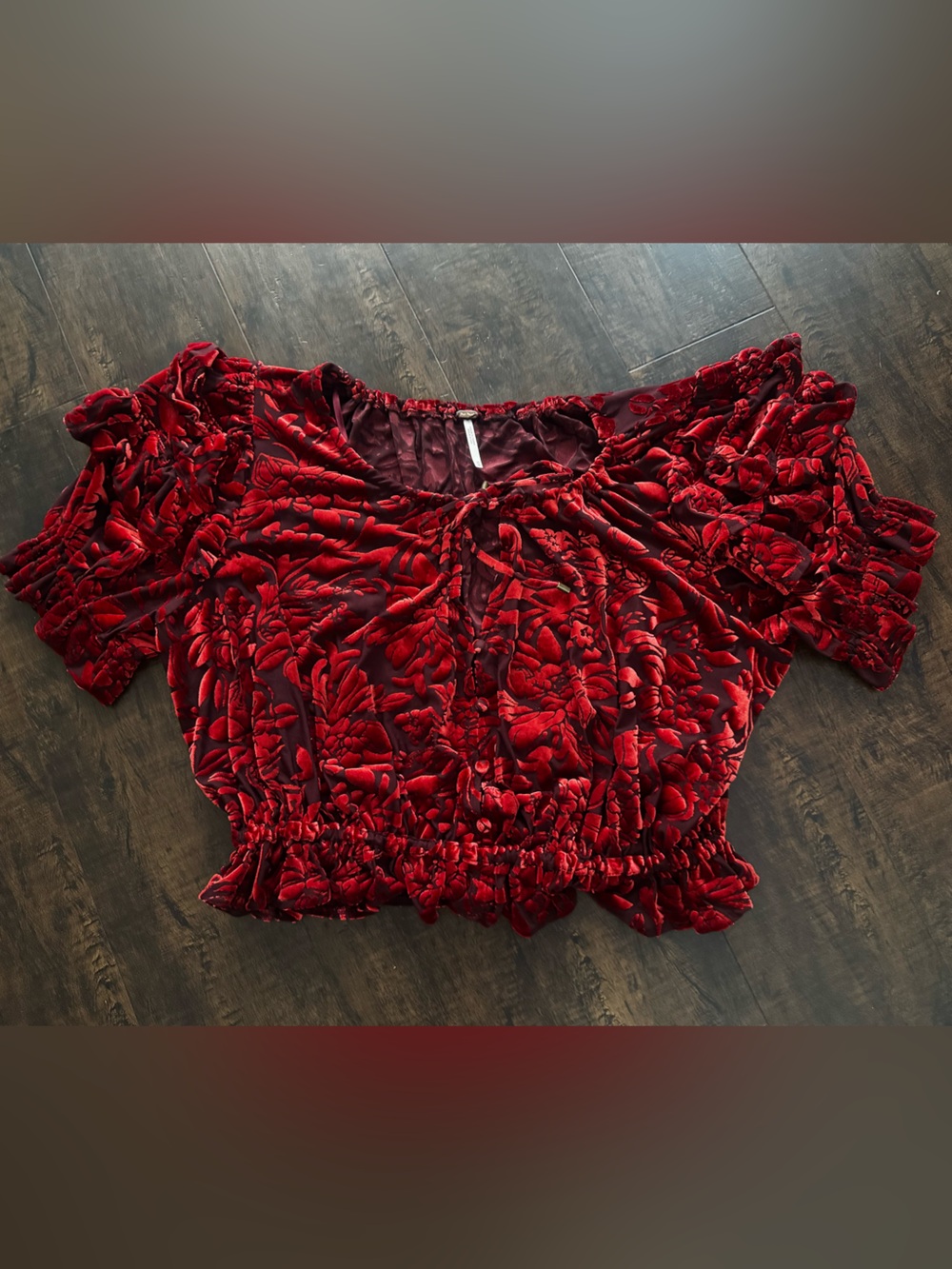 Free People Velveteen Dreams Velvet Burnout Blouse Red Floral - Size M